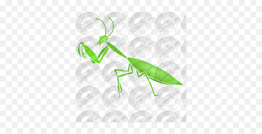 Praying Mantis Stencil For Classroom Therapy Use - Great European Mantis Png,Praying Mantis Png