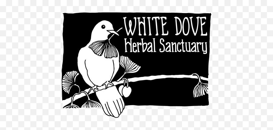 White Dove Herbal Sanctuary - Photo Caption Png,White Dove Png