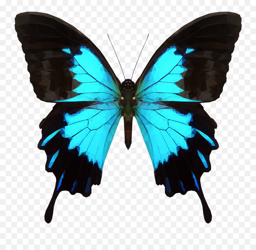 Moth Clipart Tumblr Transparent - Png Download Full Size Ulysses Butterfly,Moth Transparent Background