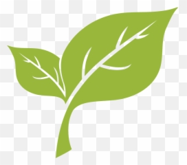 Leaf Removal - Light Green Png Transparent Cartoon