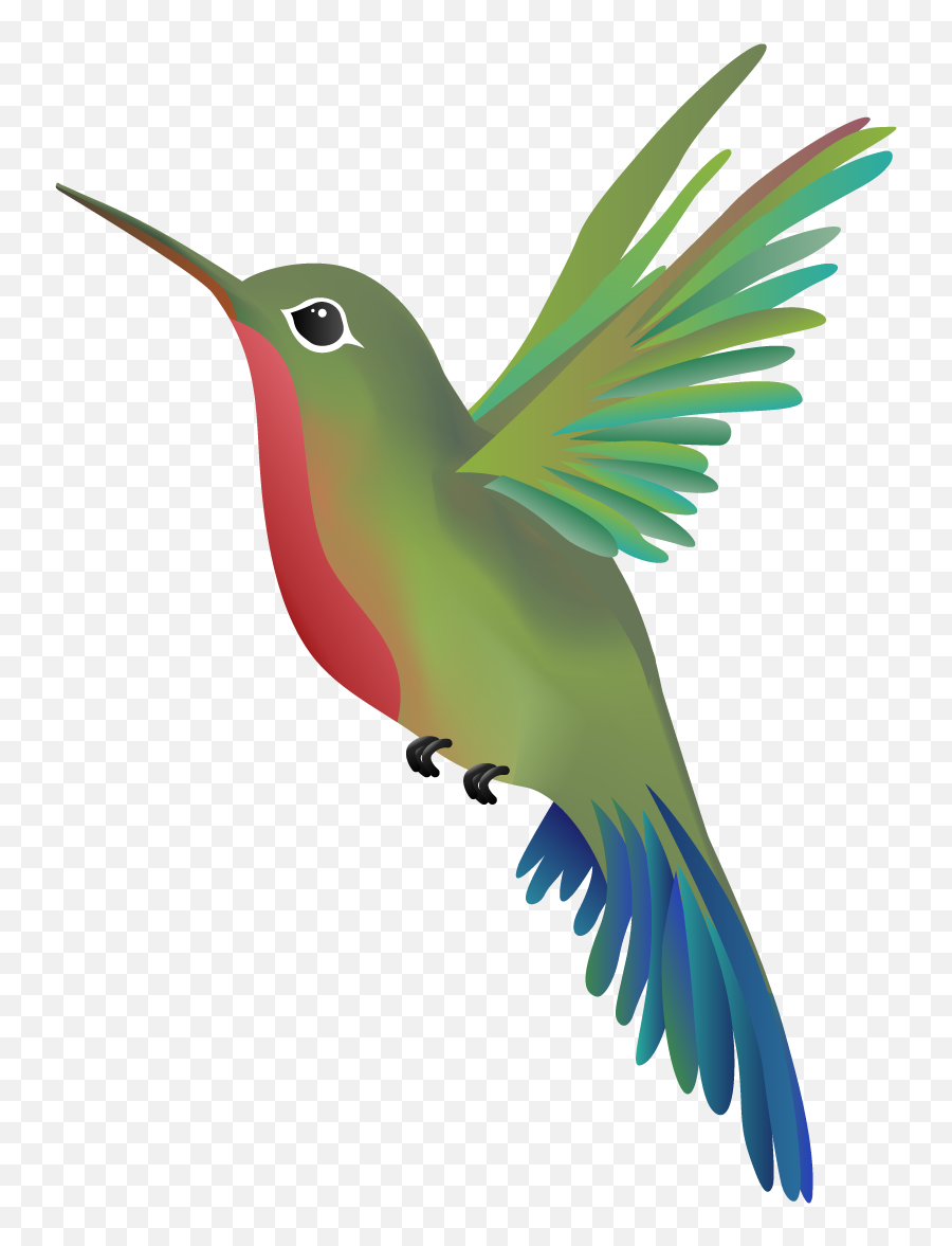 Hummingbird Png - Birds,Hummingbird Png