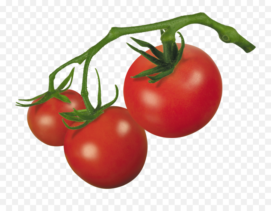 Free Vegetable Transparent Download Clip Art - Transparent Tomato Plant Png,Vegetables Transparent Background