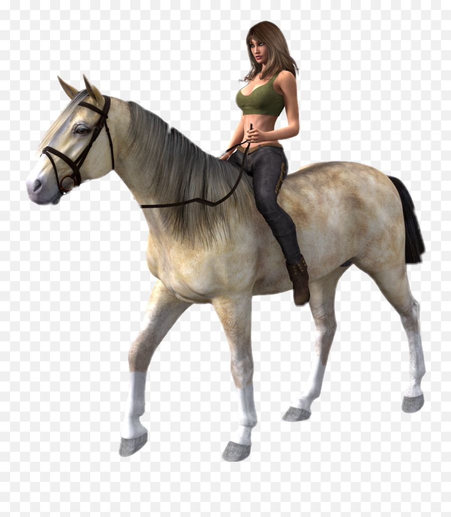 Horse Rider Horserider - Transparent Horse Riding Clipart Transparent Horse Riding Png,Horse Rider Icon
