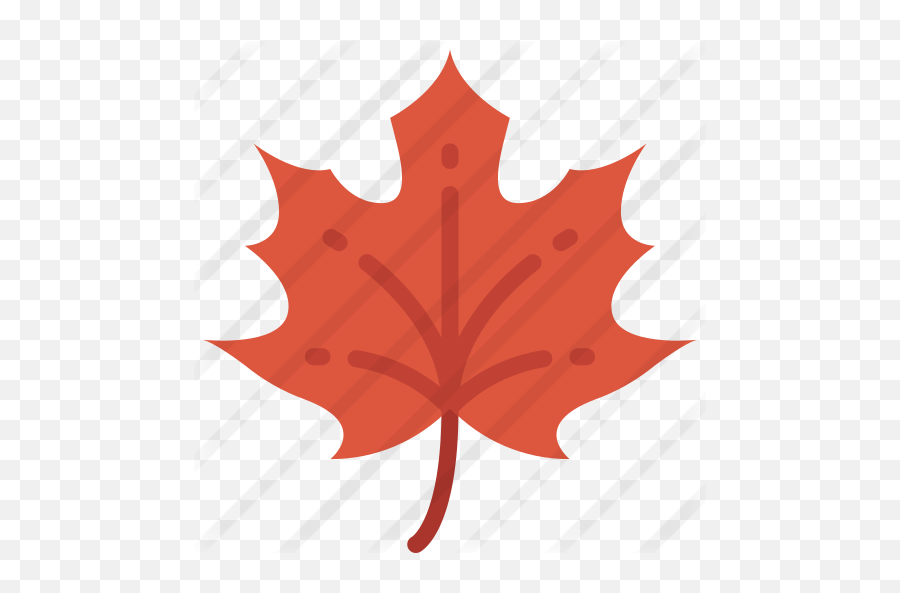 Maple Leaf - Maple Leaf Png,Red Maple Leaf Icon
