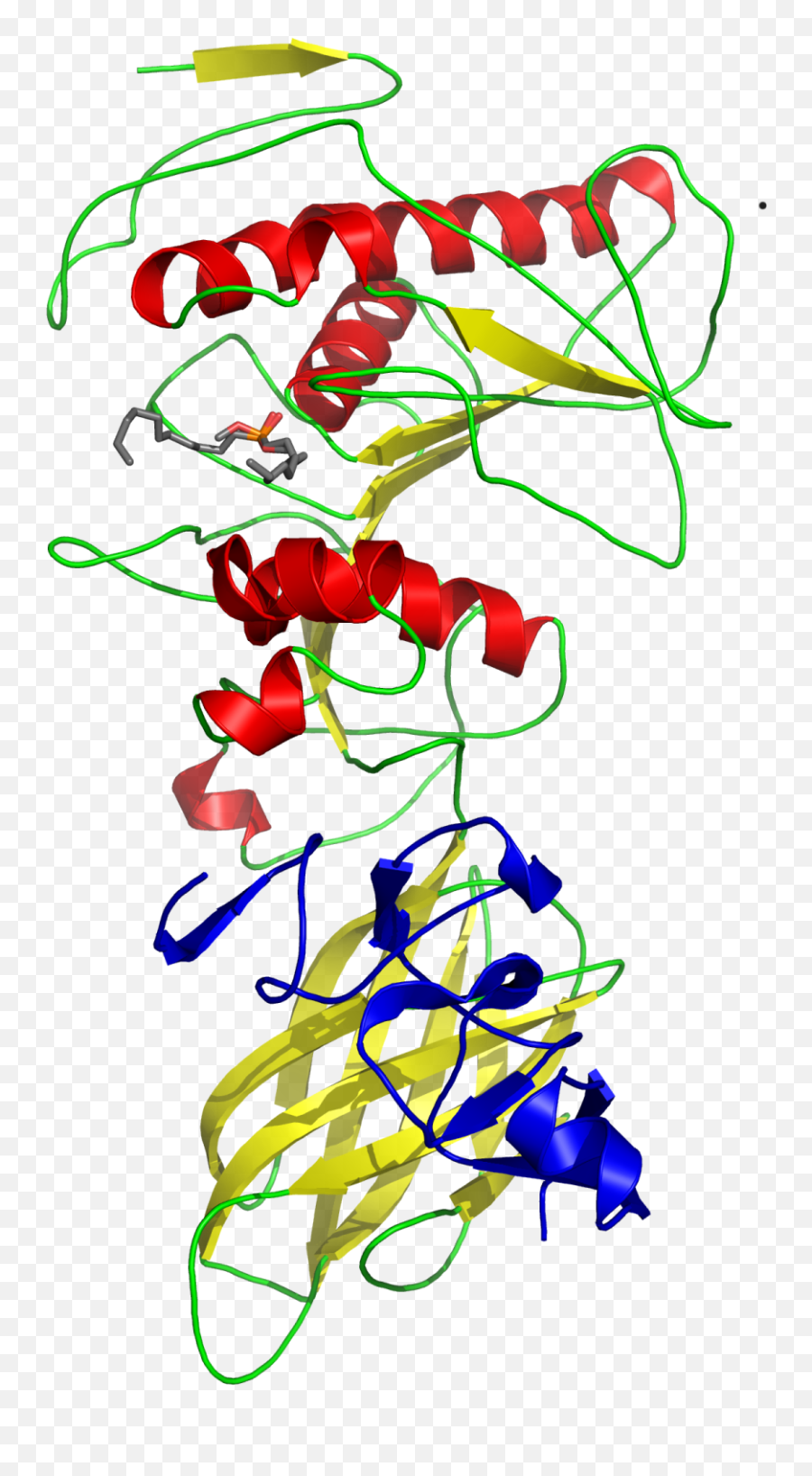 Colipase - Pancreatic Lipase Primary Structure Png,Pancreas Icon
