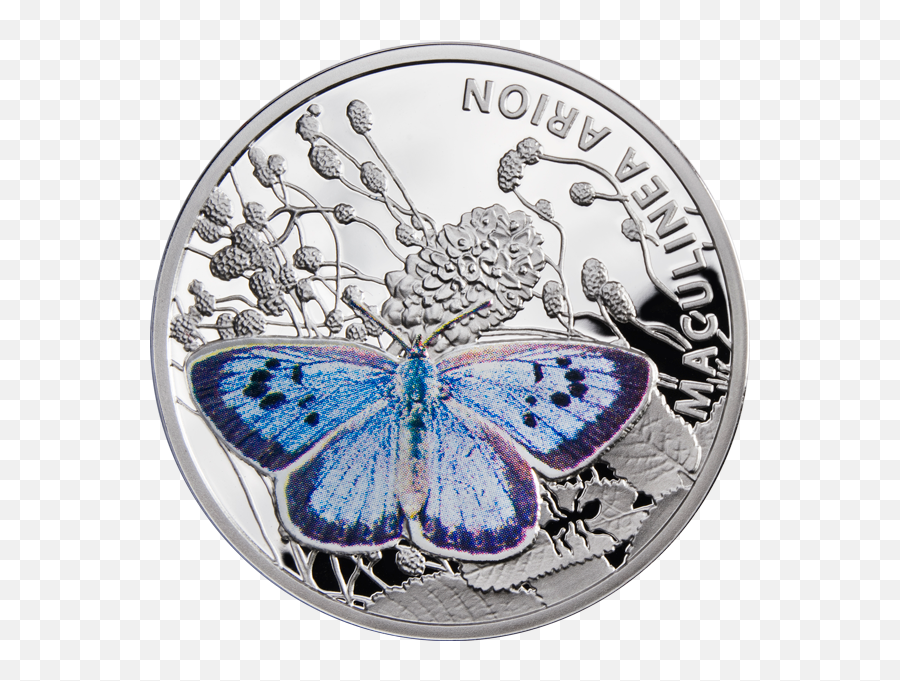 Niue 2011 1 Large Blue Butterflies Proof Silver Coin - Coin Png,Blue Butterflies Png