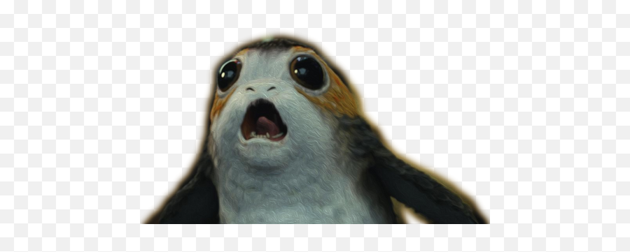 Porg - Star Wars The Last Jedi Bird Creature Png,Porg Png