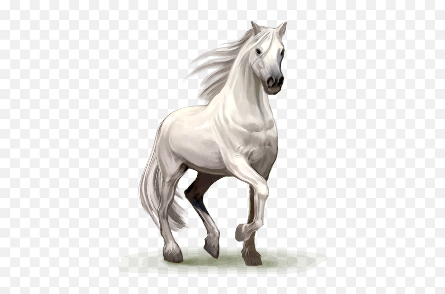 Png Horse Image - Horse Png,White Horse Png