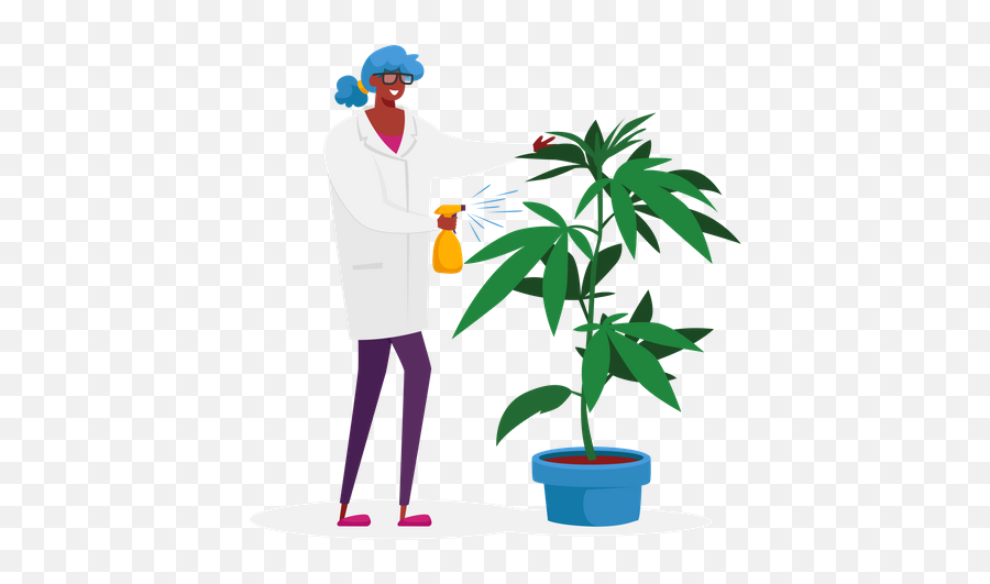 Marijuana Plant Icon - Download In Colored Outline Style Cannabis Plant Male Vs Female Png,Marijuana Plant Icon