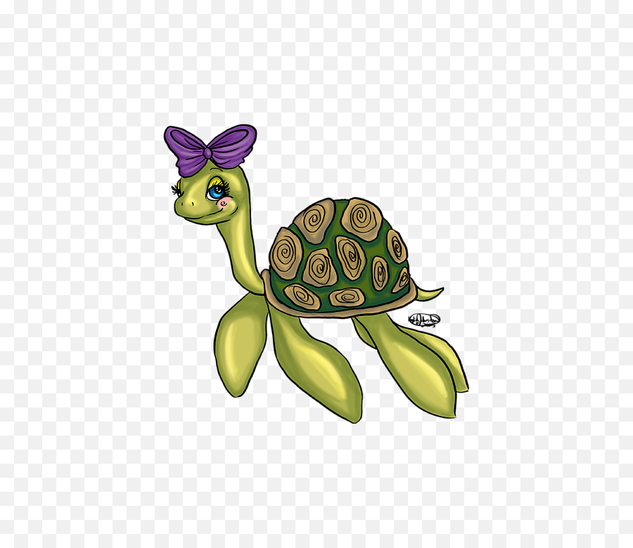Cute Turtle Png - Cartoon,Cute Turtle Png