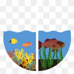Biology - Marine ecosystems png