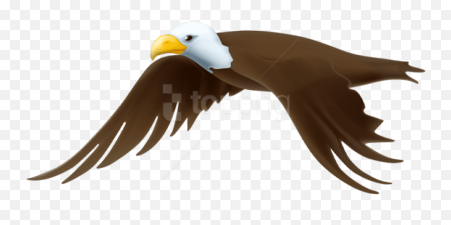 Eagle Transparent Png Images Background - Cartoon Eagle Clipart Transparent Background,Bald Eagle Transparent