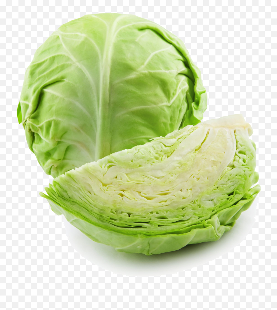 Download Cabbage Png High - Cabbage Png,Cabbage Png