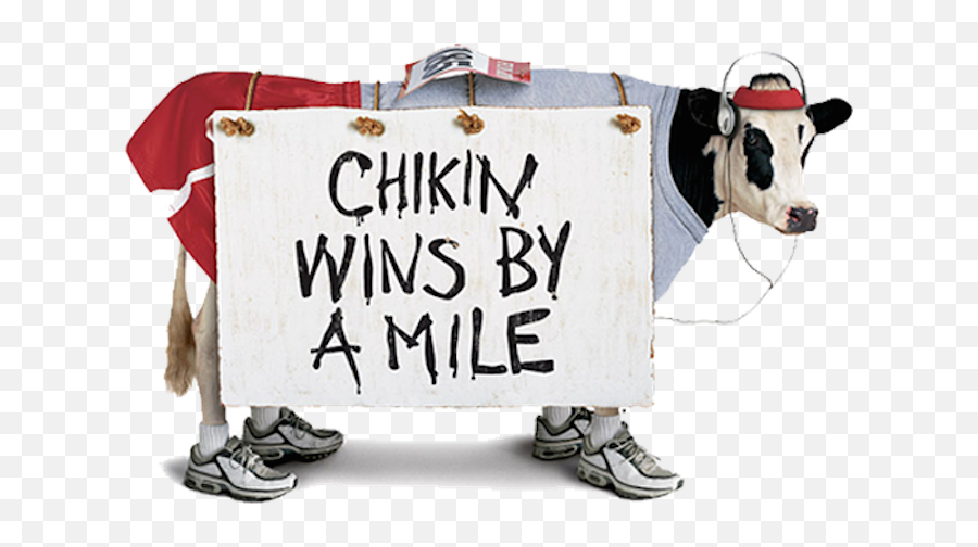 Transparent Clipart Chick Fil A Cow - Funny Chick Fil A Cows Png,Chick Fil A Png