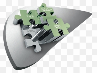 Pages - Ecio Cross Png,Liver Png