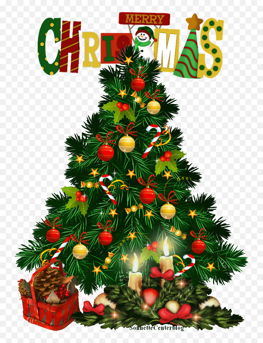 Download Christmas Tree Png Transparent - Full Size Png Christmas Tree Psd,Christmas Tree Transparent