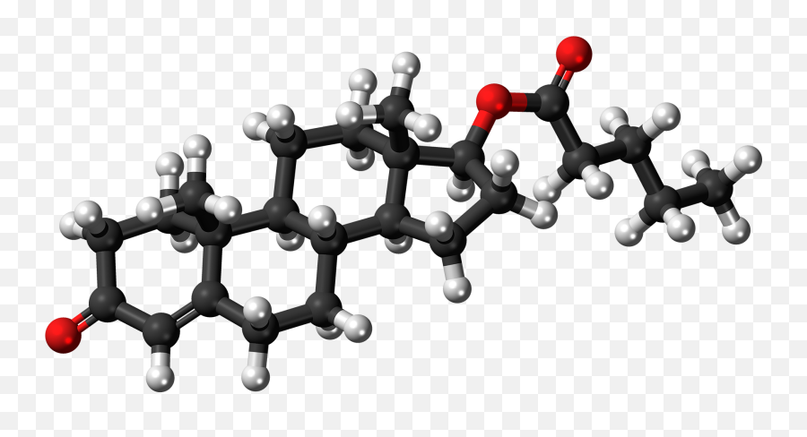 Filetestosterone Valerate Molecule Ballpng - Wikipedia Lipid Ball And Stick,8 Ball Png