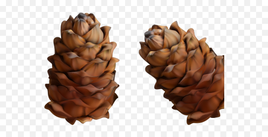 Garland Clipart Pine Cone - Pine Cone Garland Png Conifer Cone,Pine Cone Png