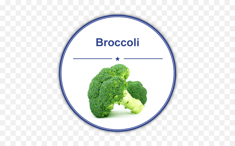 Download Imagen De Brocoli En Ingles - Full Size Png Image Broccoli,Brocoli Png