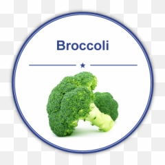 Download Imagen De Brocoli En Ingles - Full Size Png Image Broccoli,Brocoli Png