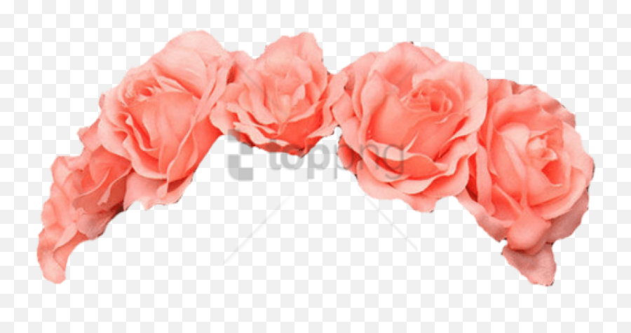 Pink Flower Crown Png Picture - Flower Crown Png,Flower Crown Transparent