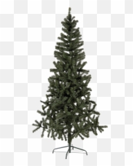 Christmas Tree Canadian - png