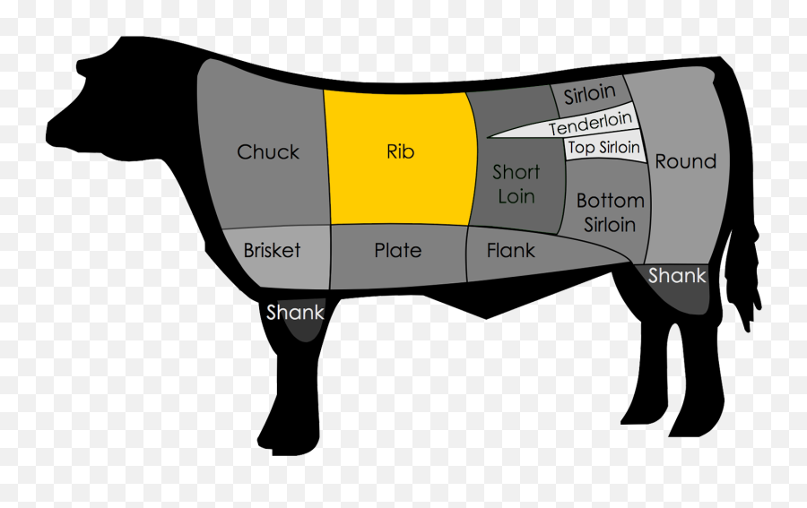 Rib Cage Png - Part Of The Cow Is Top Sirloin,Rib Cage Png