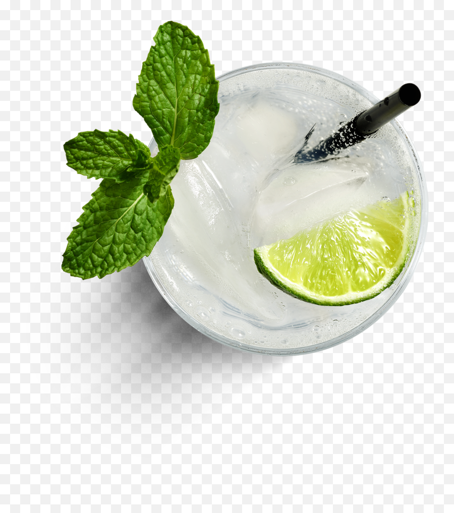 Gin And Tonic Drinkworks - Cocktail From Top Png,Mojito Png