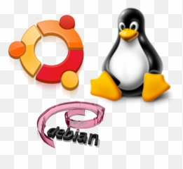 Techonologyu0027s Bugtraq - team Is Based In Debian Or Ubuntu Linux Penguin Transparent Background png