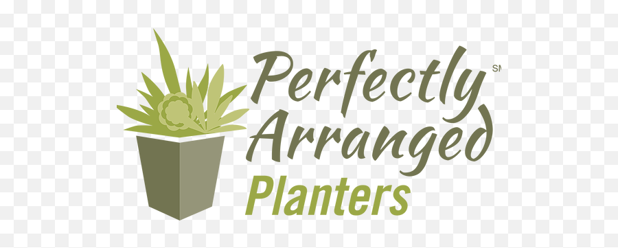 Home Perfectlyarranged - Houseplant Png,Planters Png