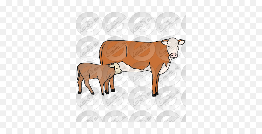 Cows Picture For Classroom Therapy Use - Great Cows Clipart Calf Png,Cows Png