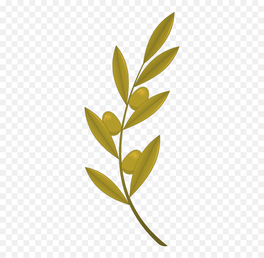Olive Branch Royalty Free Png