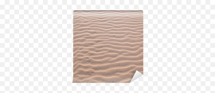 Sand Texture Wall Mural Pixers - Mat Png,Sand Texture Png