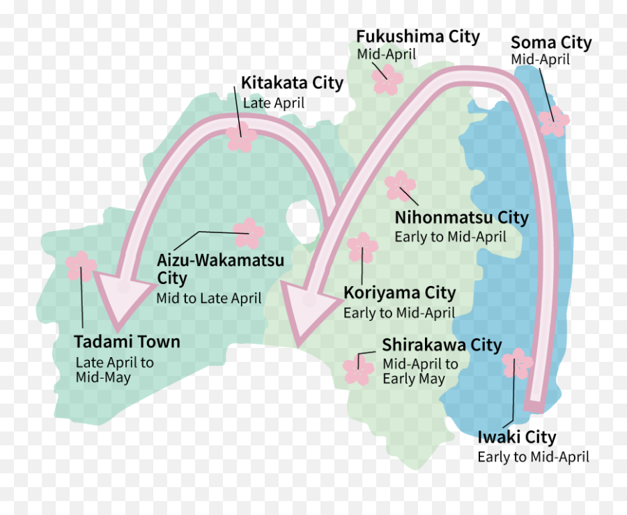 Cherry Blossom - Fukushima Travel Map Png,Cherry Blossoms Transparent