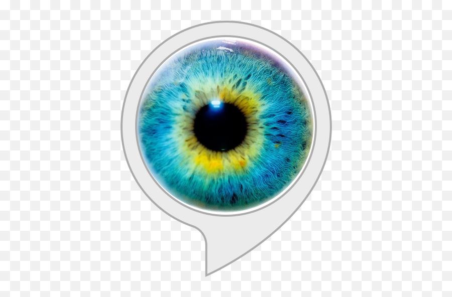 Amazoncom Color Blind Test Alexa Skills - Eye Color Iris Png,Blue Eye Png