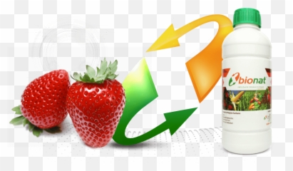 Fresa Png