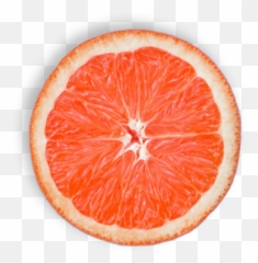 Sun U0026 Swim Lifeguard Kids Clarifying Shampoo U2013 Fairy Tales - Blood Orange Png,Grapefruit Icon
