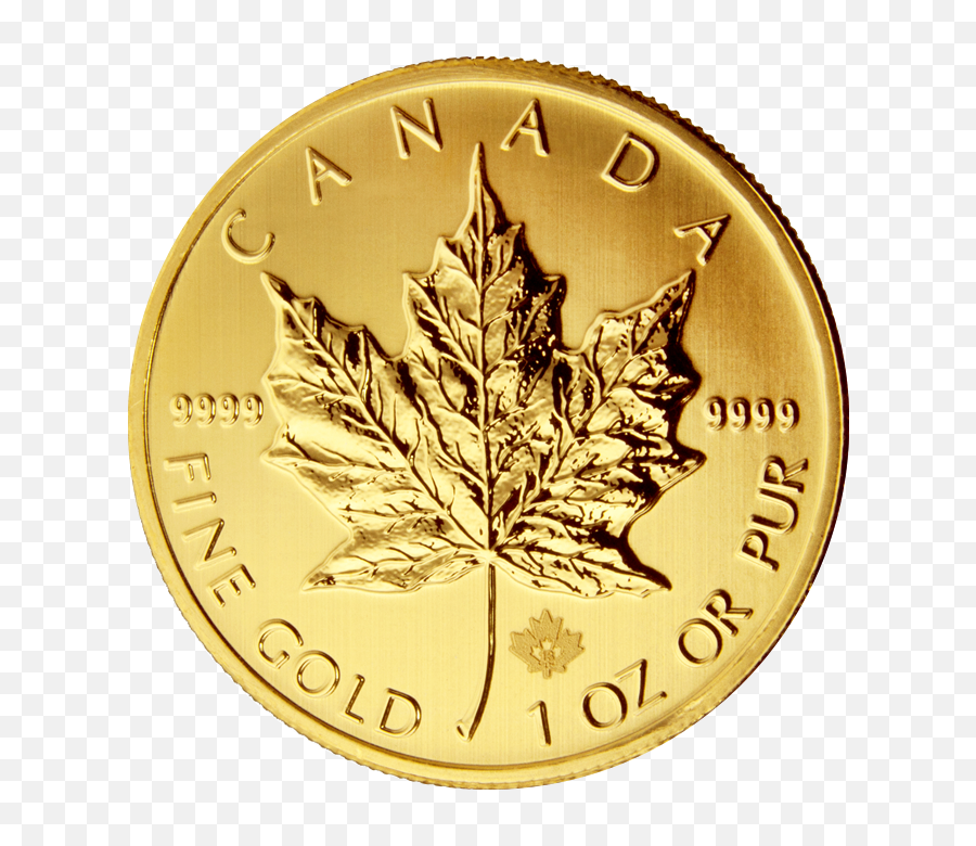 Gold Canadian Maple - Maple Leaf Gold Coin Price Png,Canada Maple Leaf Png