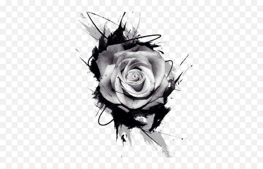Tattoo Drawing Rose Pink - Black And White Rose Png,Rose Tattoo Png