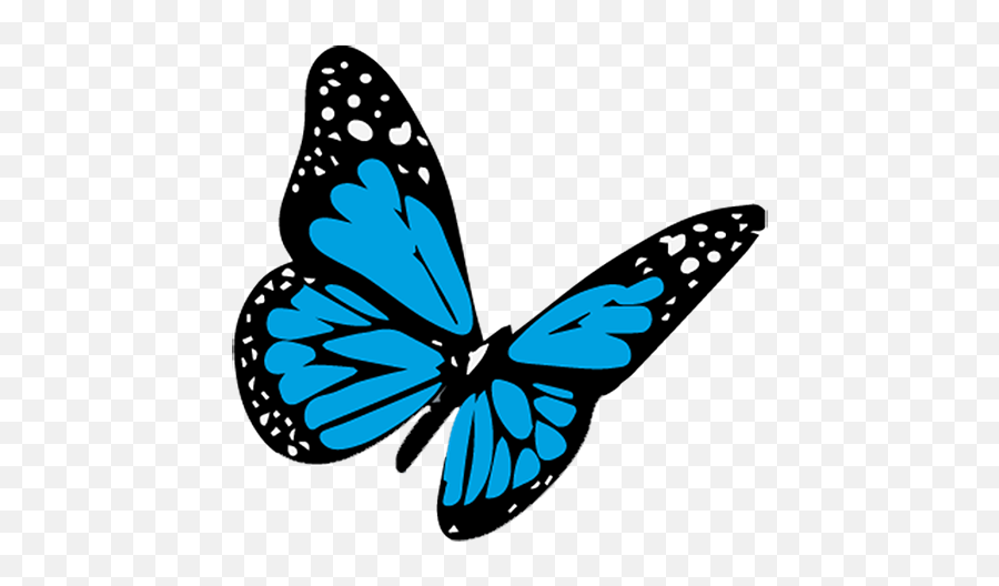 Cropped - Butterflybluepng U2013 Something Like Summer Salesforce Spring 16,Blue Butterflies Png