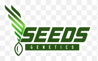 Buy Weed Seeds Online Best Cannabis Genetics Co - png
