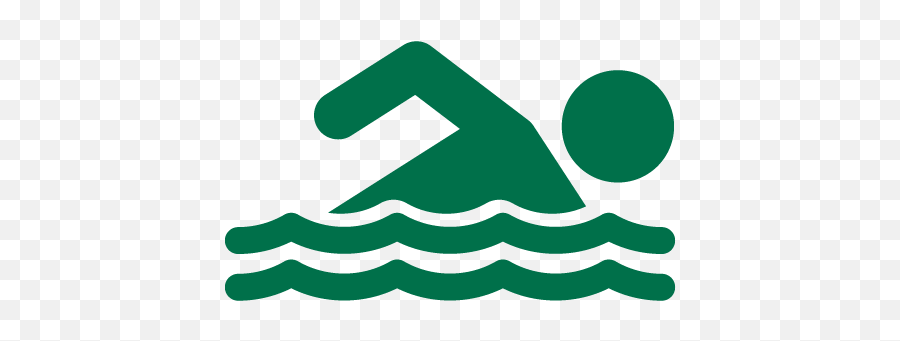 Pool - Delta College Green Swimmer Icon Logo Png,Billiards Icon