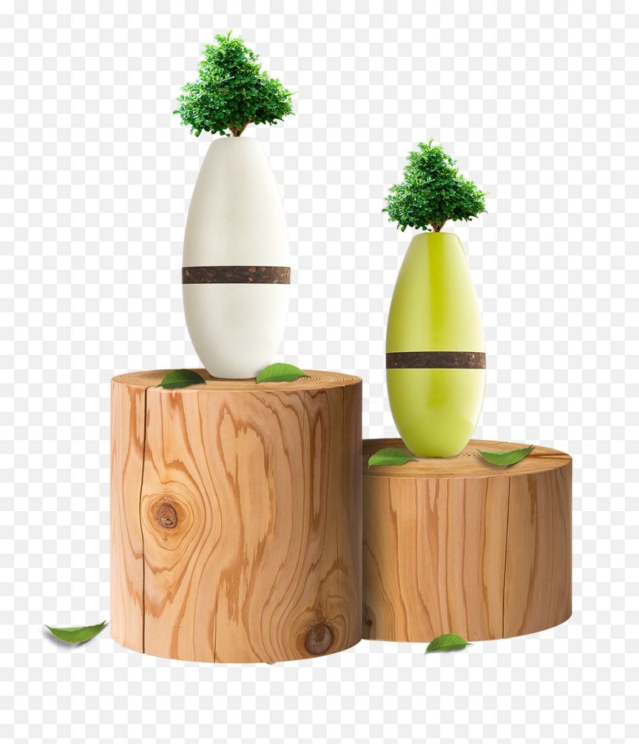 Home Biotree Urns - Fines Herbes Png,Urn Icon