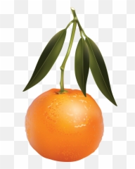 Mandarin Png Images Free Download - Mandarin Orange,Orange Tree Png