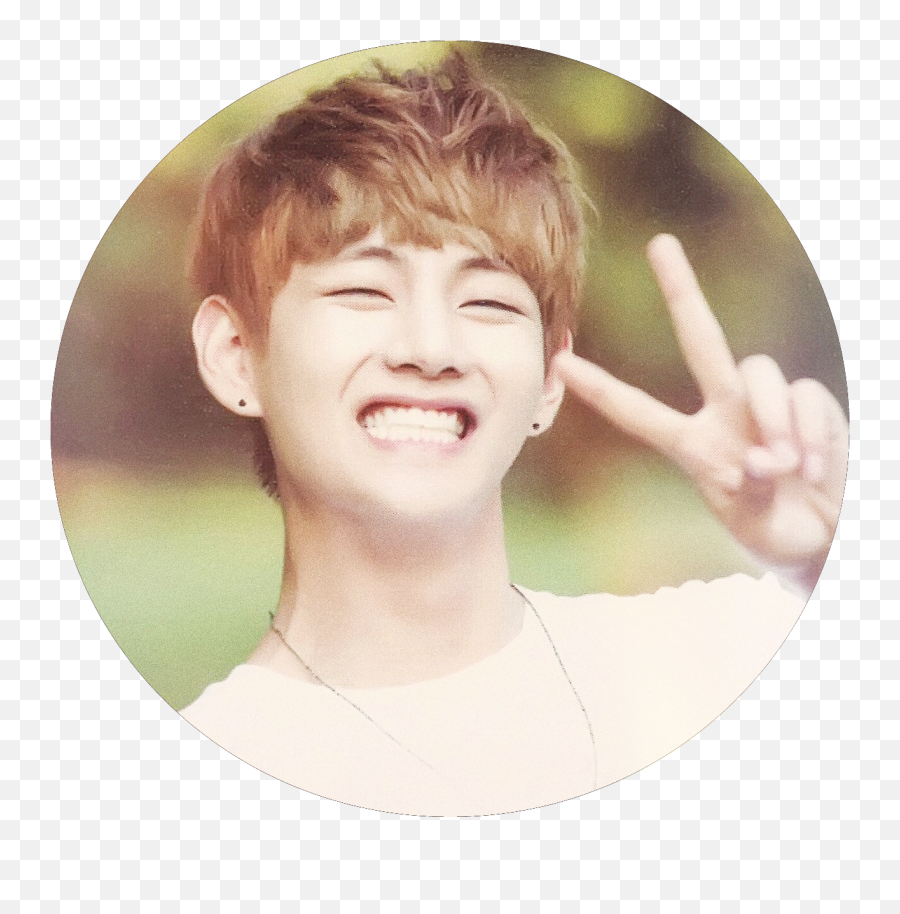 Icon Twittee Taetae V Taehyung Sticker By Veautifultiger - Bts Zip Code 17520 Scan V Png,Kim Taehyung Icon