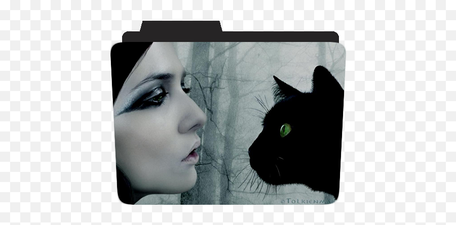 Creative Folders - Black Cat Png,Twitter Icon 2018