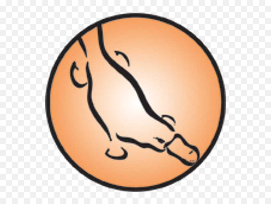 Templates 101 Suny Upstate Medical University - Drawing Png,Platypus Icon
