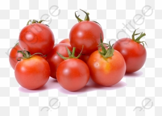 Cherry Tomato Clipart - Cherry Tomatoes Png Transparent Png Cherry Tomatoes Png,Tomato Clipart Png