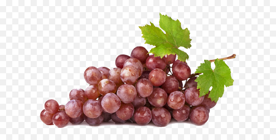 Wine Grapes Png 3 Image - Red Wine Grapes Transparent,Grapes Png