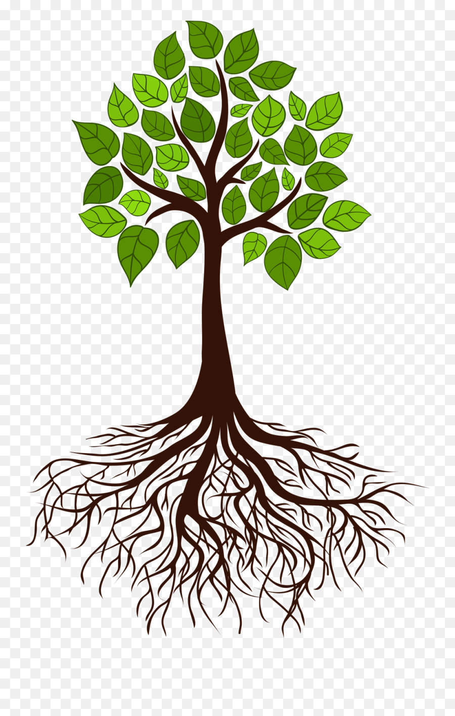 Tree Root Branch - Tree Roots Png,Tree Roots Png